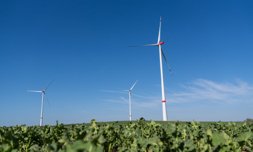 Mit einer Gesamtleistung von 116 Megawatt wird der Windpark künftig über 230 Millionen Kilowattstunden Strom pro Jahr erzeugen.