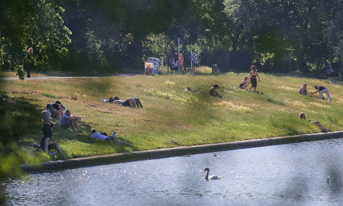 Leute liegen Ende Juni 2026 auf einer Wiese