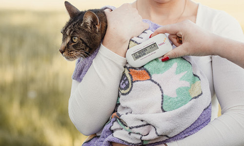  Die Nummer des Transponders muss auch registriert werden.