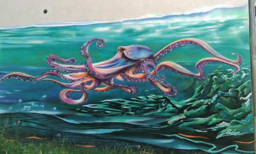 Graffiti können eine Wand auch aufwerten – sofern sie gut gemacht sind.