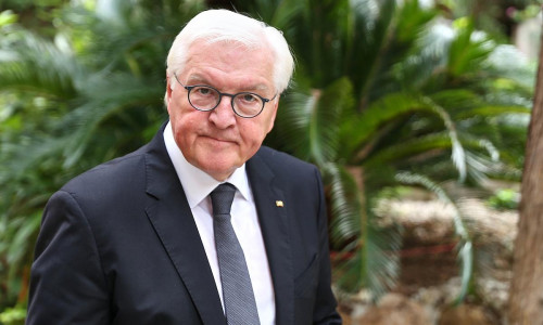 Frank-Walter Steinmeier (Archiv)