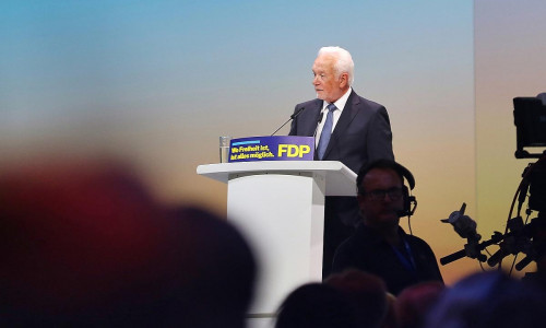 Wolfgang Kubicki (Archiv)