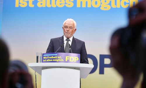 Wolfgang Kubicki (Archiv)