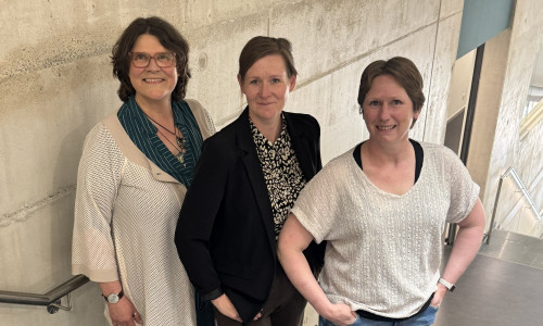 Leiten das Projekt zur Entwicklung transdisziplinärer Weiterbildungsangebote für Notfallversorgung und Katastrophenschutz (von links): Prof. Dr. Ilka Benner, Prof. Dr. Sandra Tschupke und Prof. Dr. Melanie Lietz.