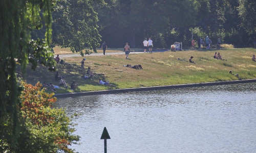 Leute liegen Ende Juni 2026 auf einer Wiese