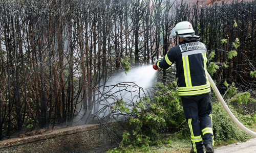 Nachlöscharbeiten an der abgebrannten Thuja-Hecke. (Archiv)