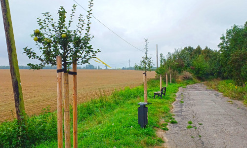 Hier darf kostenlos, ohne Rücksprache und für den Eigenbedarf geerntet werden.