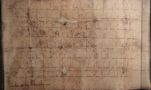 Reproduktion der Magniurkunde im Altstadtrathaus.