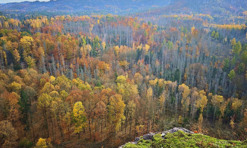 Sächsische Schweiz (Archiv)