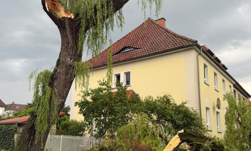 Dieser große Baum wurde Opfer des kurzen Unwetters.