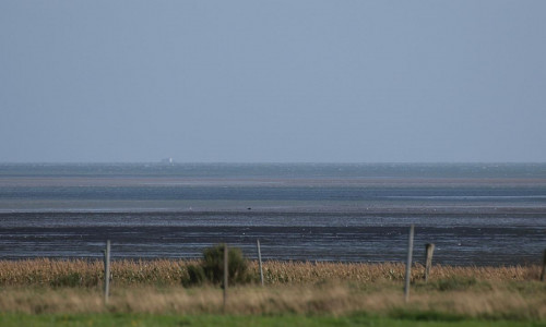 Das Wattenmeer an der Nordsee (Archiv)