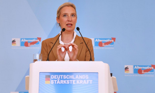 Alice Weidel (Archiv)