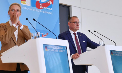 Alice Weidel und Tino Chrupalla (Archiv)