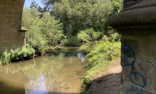 Viel zu trocken und wenig Wasser in den Gewässern, etwa in der Innerste bei Sehlde (Samtgemeinde Baddeckenstedt) im Juni des Jahres.