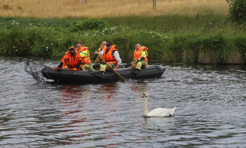 Die Feuerwehrleute schafften es nicht, den Schwan einzufangen.
