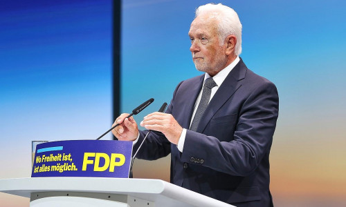 Wolfgang Kubicki (Archiv)