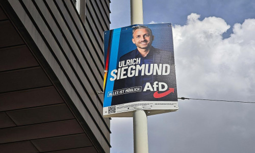 AfD-Wahlplakat mit Ulrich Siegmund (Archiv)