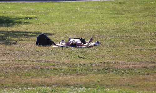 Sommer (Archiv)