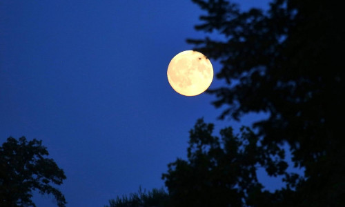 Nachthimmel mit Mond (Archiv)