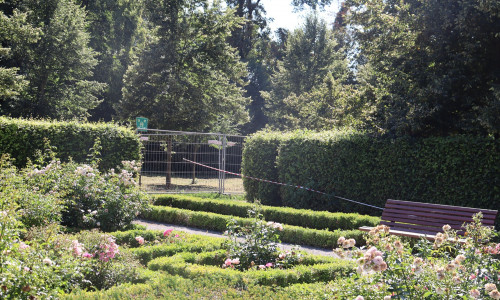 Eine Teilsperrung des Schlosswaldes wurde nötig.