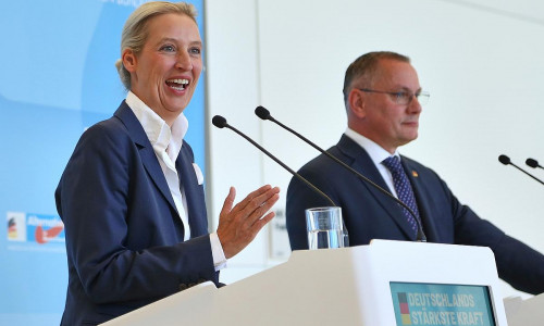 Alice Weidel und Tino Chrupalla (Archiv)