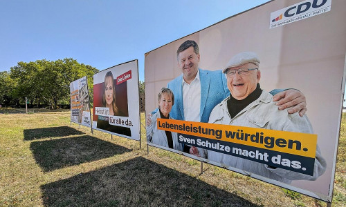 Wahlplakate vor der Landtagswahl in Sachsen-Anhalt (Archiv)