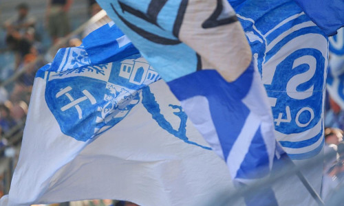 Schalke-Fans (Archiv)