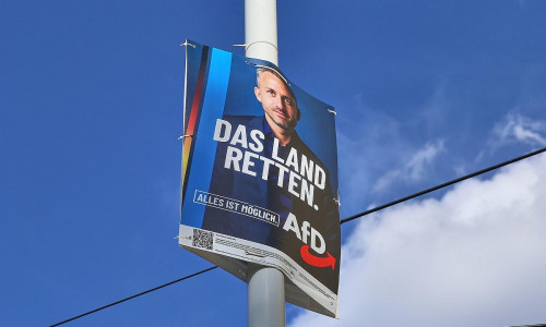 Wahlplakat vor der Landtagswahl in Sachsen-Anhalt (Archiv)