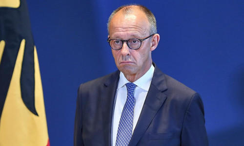 Friedrich Merz (Archiv)