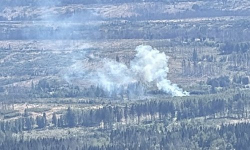 Der Waldbrand bei Braunlage beschäftigte die Feuerwehr.