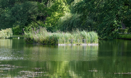 Das Wasser im Stadtgraben bereitet immer wieder Sorgen.