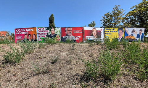 Wahlplakate vor der Landtagswahl in Sachsen-Anhalt (Archiv)