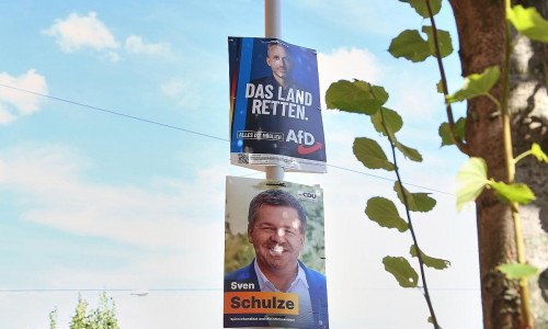 Wahlplakate vor der Landtagswahl in Sachsen-Anhalt (Archiv)