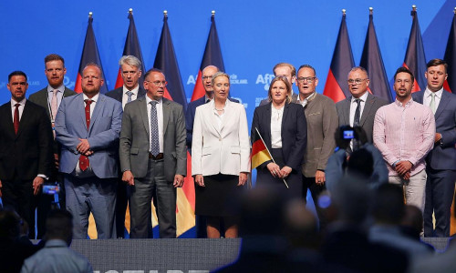 AfD-Vorstand (Archiv)