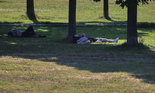 Sommer (Archiv)
