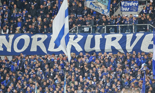 Fans von Schalke 04 (Archiv)