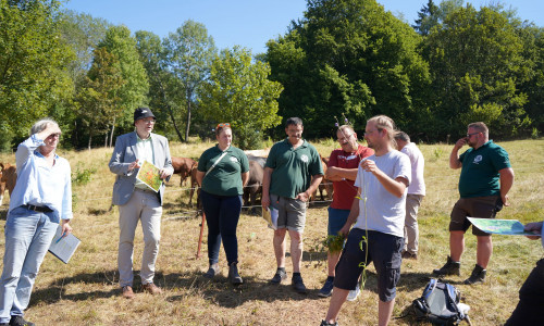 Die Besuchergruppe rund um Umweltminister Meyer macht sich ein Bild von der eindrucksvollen Artenvielfalt in den Oberharzer Bergwiesen, ein besonders schützenswerter Naturraum. 