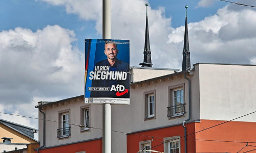 AfD-Wahlplakat mit Ulrich Siegmund (Archiv)