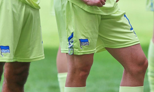 Spieler von Hertha BSC (Archiv)