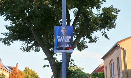 Wahlplakat vor der Landtagswahl in Sachsen-Anhalt (Archiv)