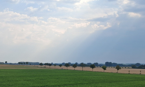 Hier könnten in Zukunft Windräder stehen.