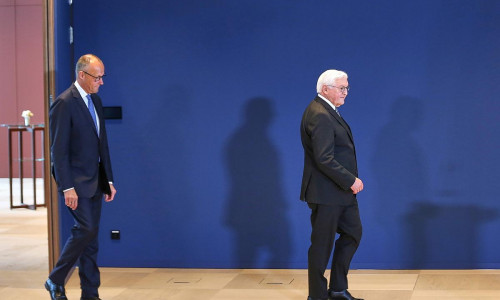 Friedrich Merz und Frank-Walter Steinmeier (Archiv)