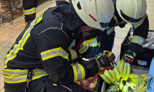 Die Feuerwehrleute durchsuchten zahlreiche Bananenkisten nach einer Spinne.