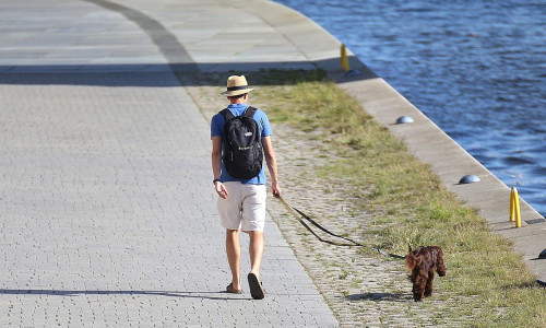 Mann mit Hund (Archiv)