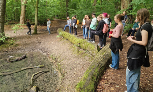 Malerische Stationen: Die Wandergruppe absolvierte unterwegs vier Achtsamkeitsübungen, teils in der Stadt, teils im Wald. 