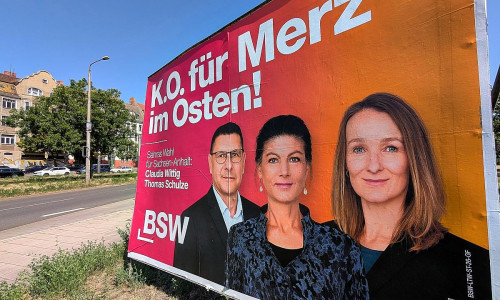 Wahlplakate vor der Landtagswahl in Sachsen-Anhalt (Archiv)