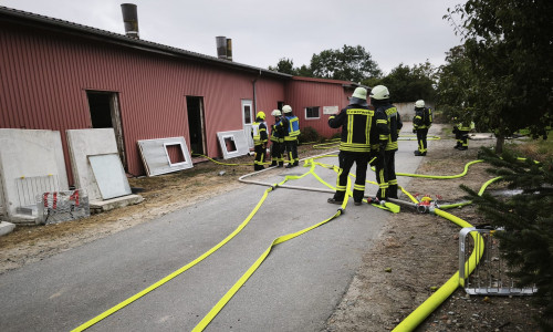 Die schnelle Brandbekämpfung rettete mehr als 1000 Ferkel und Sauen.