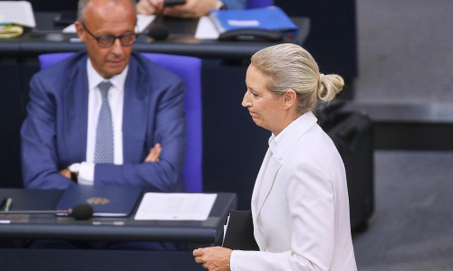Friedrich Merz und Alice Weidel (Archiv)
