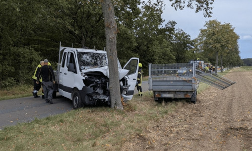 Der Wagen war frontal mit dem Baum kollidiert.