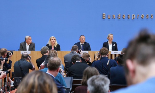 AfD-Wahlnachlese am 21.09.2026